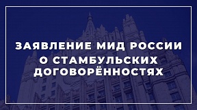 Заявление МИД России о Стамбульских договорённостях Заявление МИД России о Стамбульских договорённостях